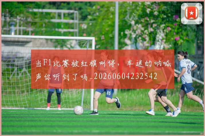 当F1比赛被红旗叫停，车迷的呐喊声你听到了吗_20260604232542