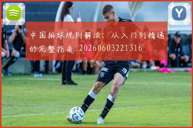 中国排球规则解读:从入门到精通的完整指南_20260603221316