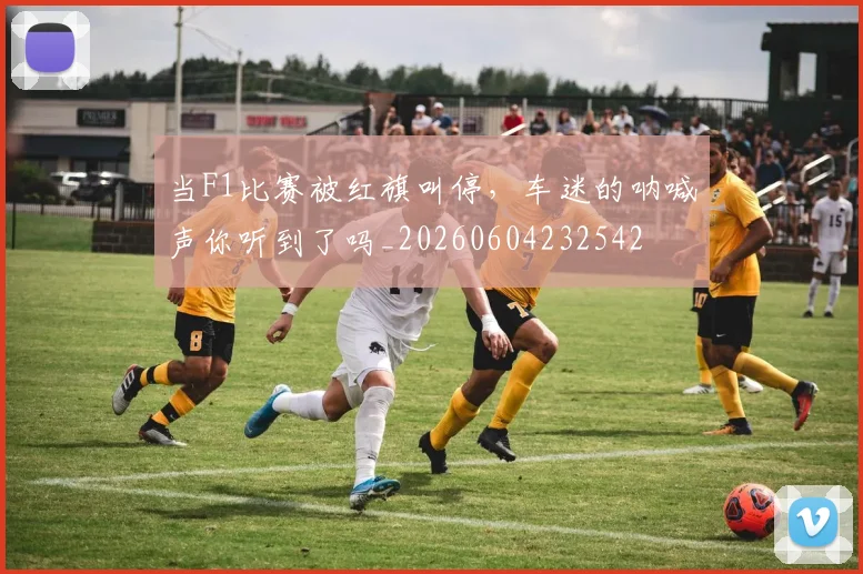 当F1比赛被红旗叫停,车迷的呐喊声你听到了吗_20260604232542